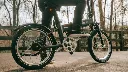 PVY_05.webp