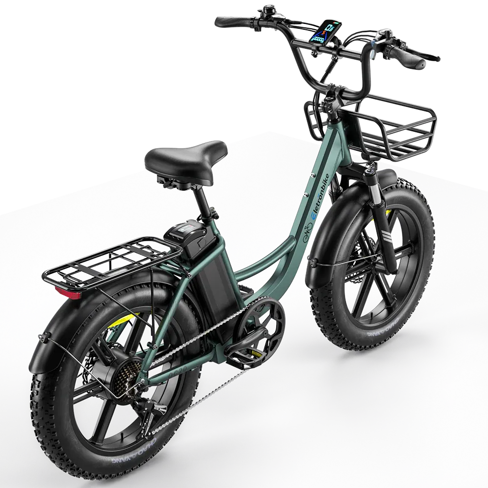 Eletronbike_OC20_Commute_E-bike_for_Adults-back_side.webp