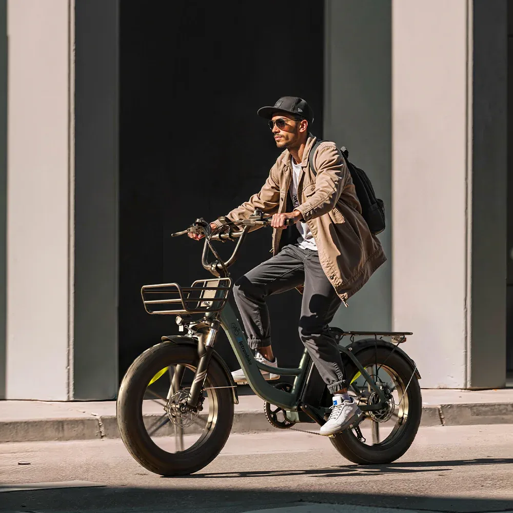 Eletronbike_OC20_Commute_E-bike_for_Adults.webp