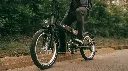PVY_02.webp